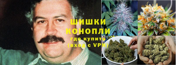 прущие крисы Верхний Тагил